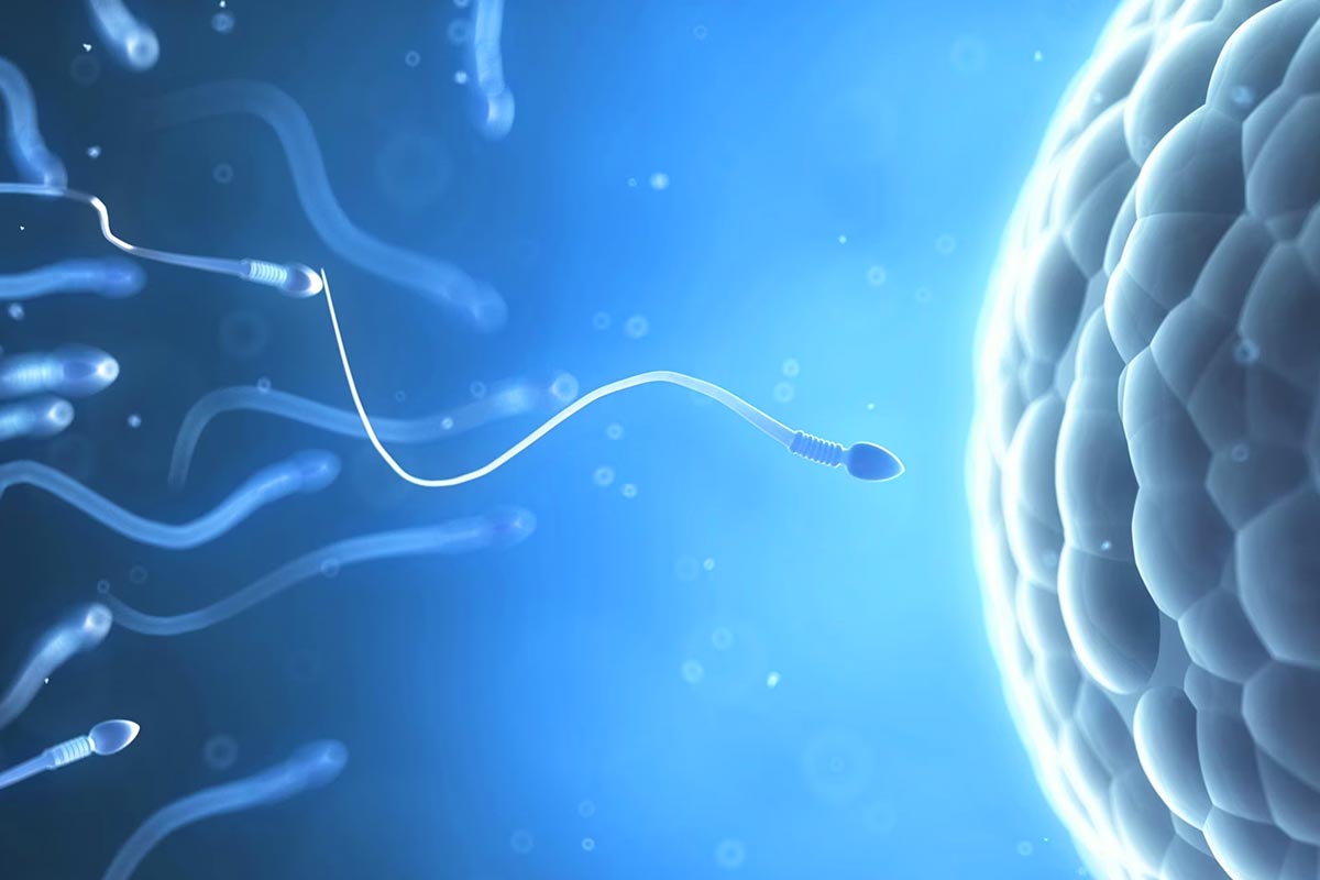 Beneficiile Terapiei Bowen în tratamentul infertilității Beneficiile Terapiei Bowen în tratamentul infertilității